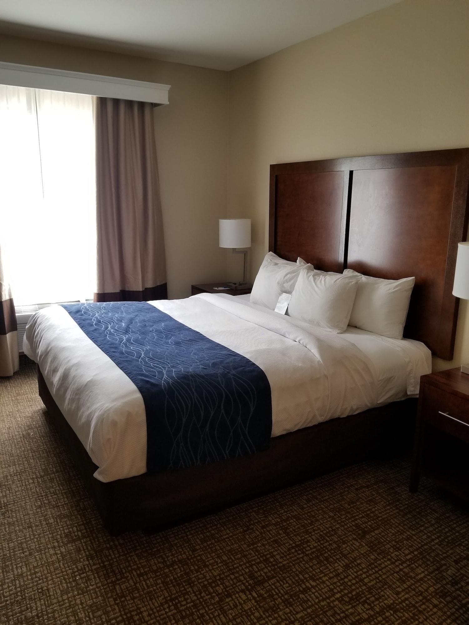 Sonesta Essential - Baton Rouge Airport Hotel Eksteriør billede